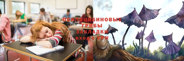 шишки Богданович